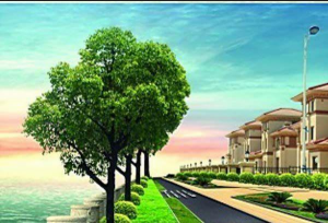 金月湾售310-500㎡别墅 约15000-20000元/㎡